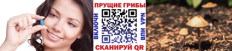 Псилоцибиновые грибы Psilocybe  OMG рабочий сайт  Михайлов  где продают наркотики 